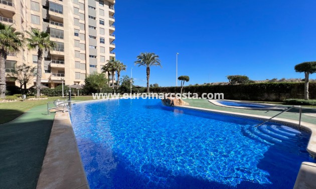 Sale - Apartment / flat - Guardamar del Segura