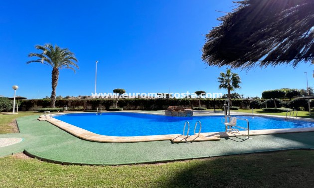 Sale - Apartment / flat - Guardamar del Segura
