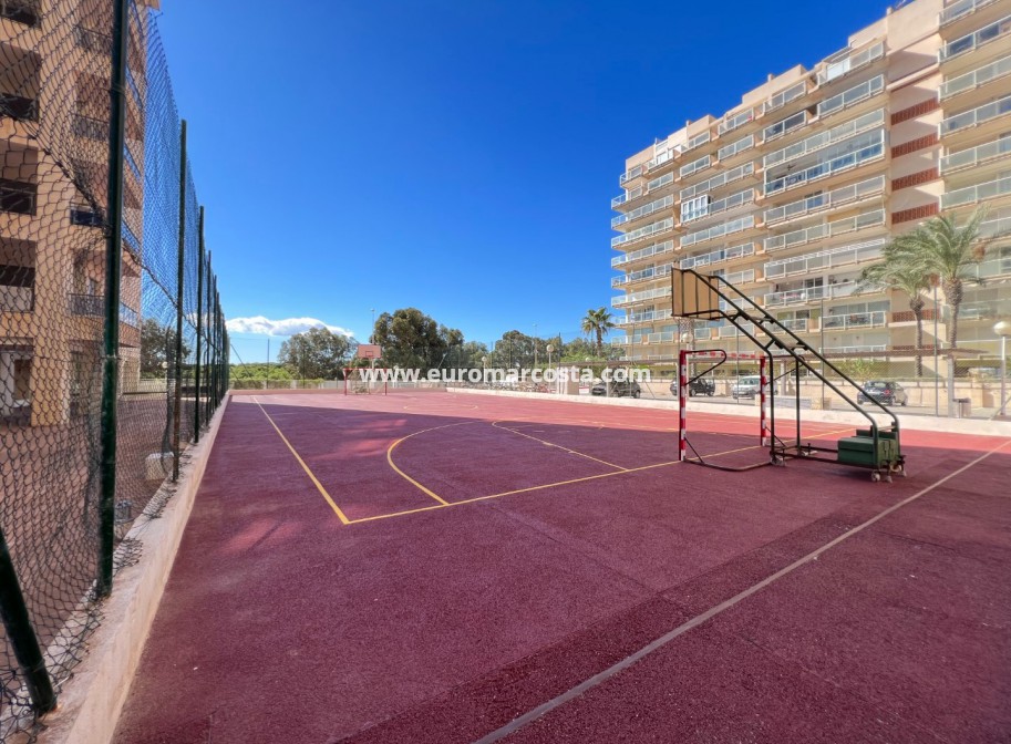 Sale - Apartment / flat - Guardamar del Segura