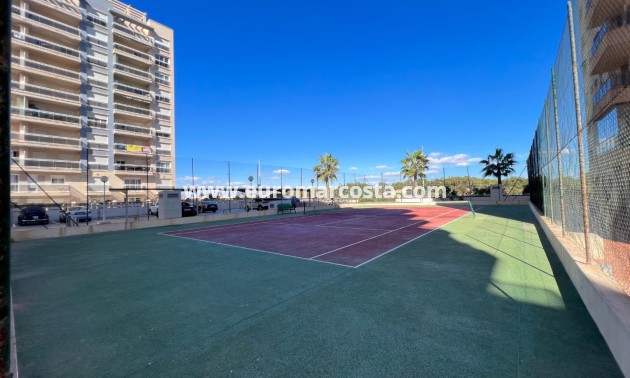 Sale - Apartment / flat - Guardamar del Segura