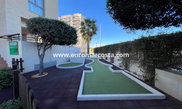 Sale - Apartment / flat - Guardamar del Segura