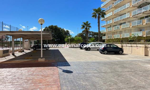 Sale - Apartment / flat - Guardamar del Segura