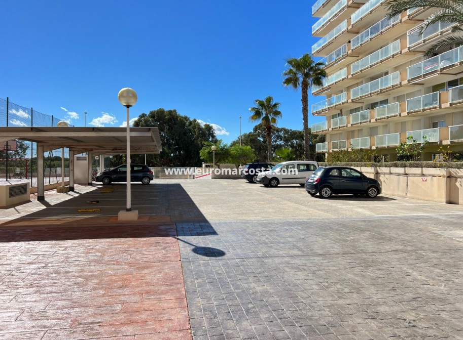 Sale - Apartment / flat - Guardamar del Segura
