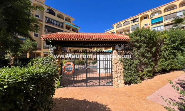 Objekte zum Wiederverkauf - Wohnung - La Mata