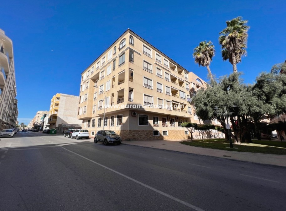 Venta - Apartamento / piso - Guardamar del Segura