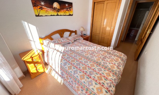 Venta - Apartamento / piso - Guardamar del Segura