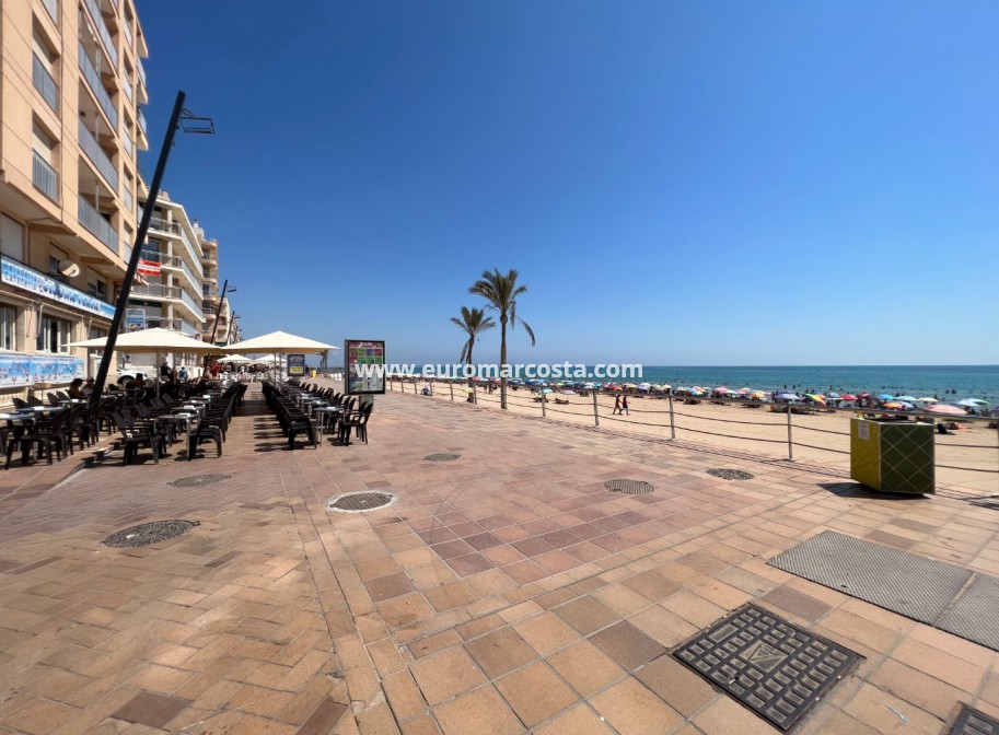 Venta - Apartamento / piso - Guardamar del Segura