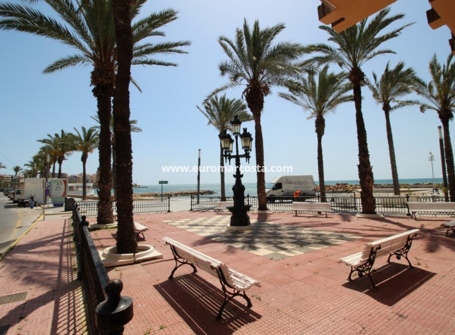 Objekte zum Wiederverkauf - Kommerziell - Torrevieja - TORREVIEJA