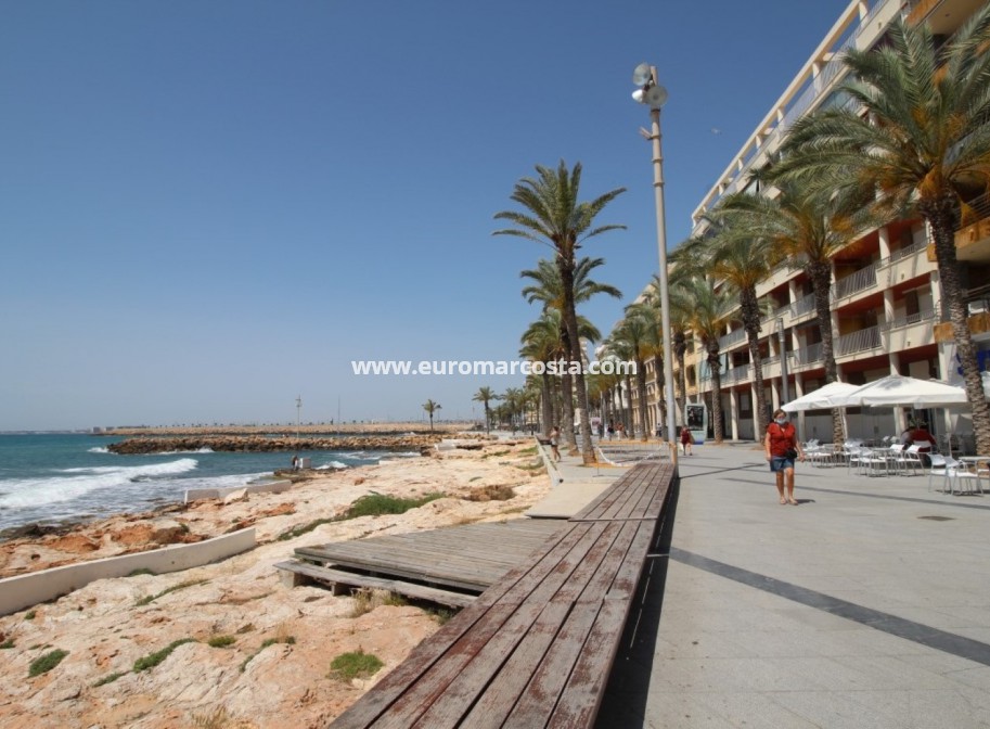 Objekte zum Wiederverkauf - Kommerziell - Torrevieja - TORREVIEJA