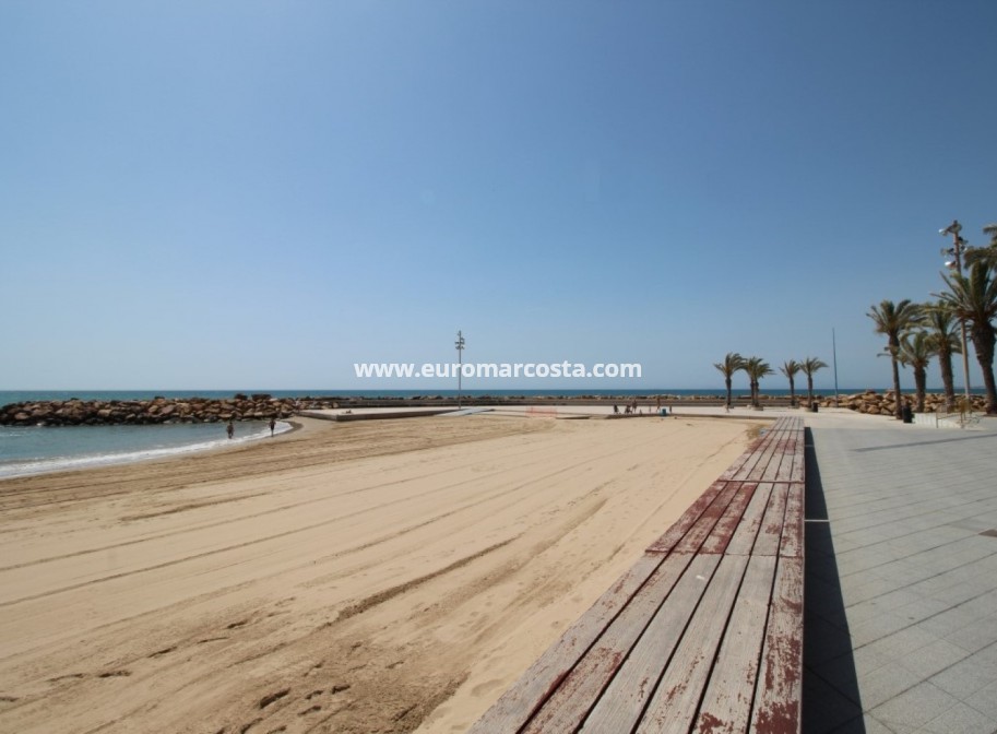 Objekte zum Wiederverkauf - Kommerziell - Torrevieja - TORREVIEJA