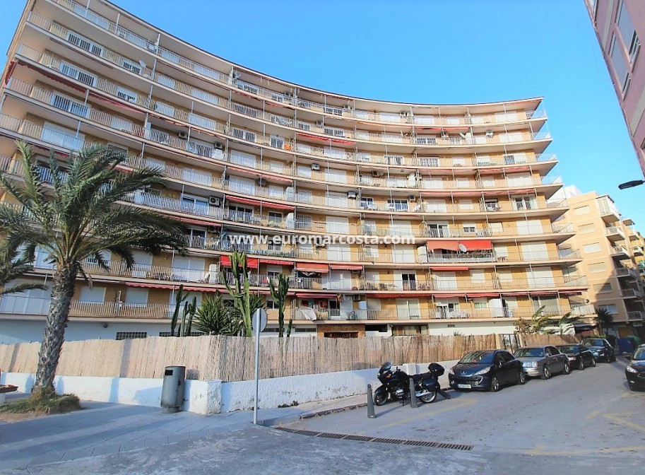 Sale - Apartment / flat - Torrevieja - Playa de los Locos
