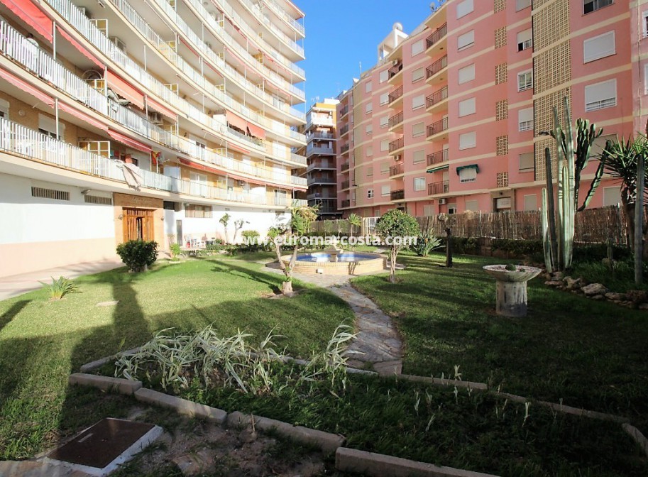Venta - Apartamento / piso - Torrevieja - Playa de los Locos