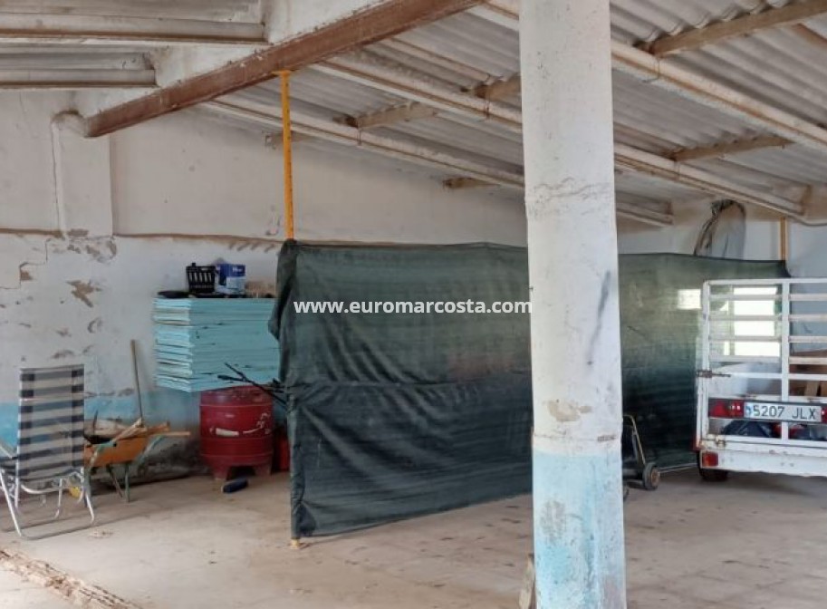 Sale - Commercial - Torre Pacheco