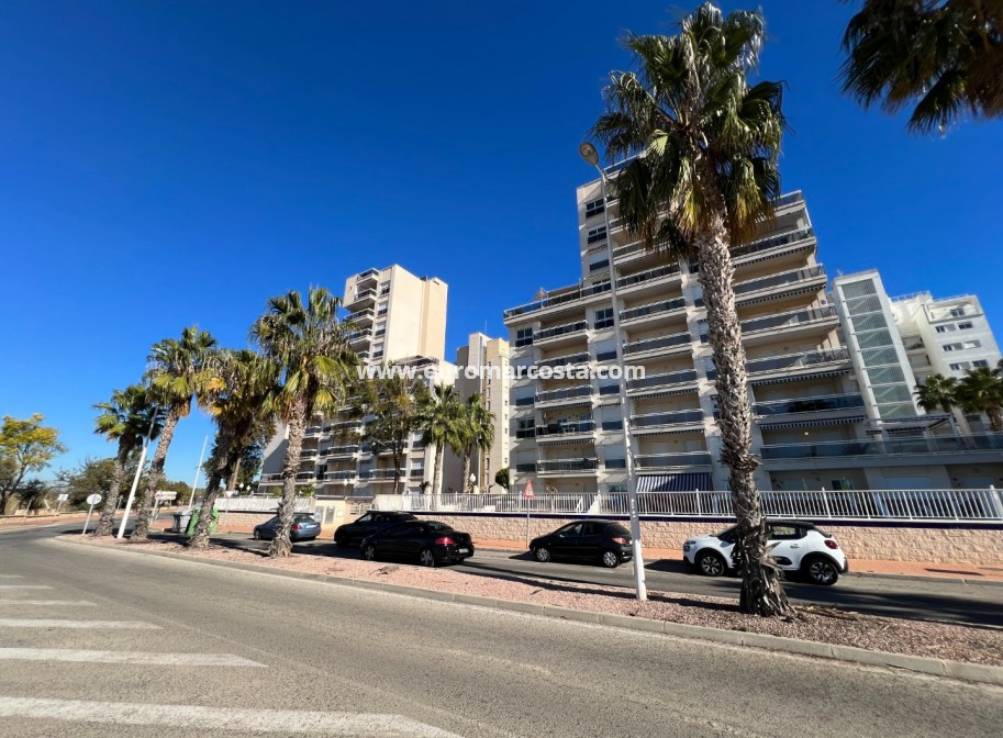 Venta - Apartamento / piso - Guardamar del Segura