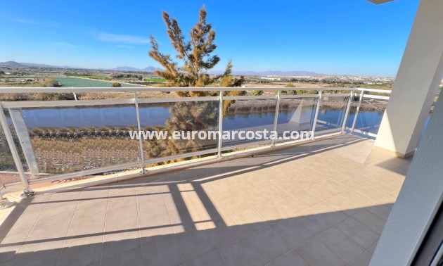 Venta - Apartamento / piso - Guardamar del Segura