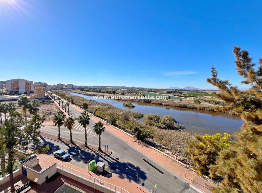 Venta - Apartamento / piso - Guardamar del Segura