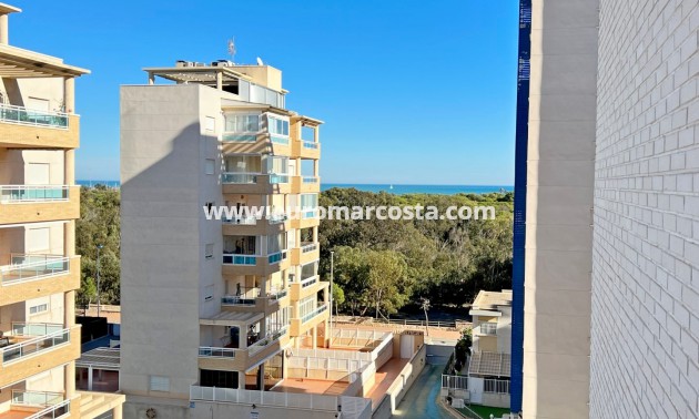 Venta - Apartamento / piso - Guardamar del Segura