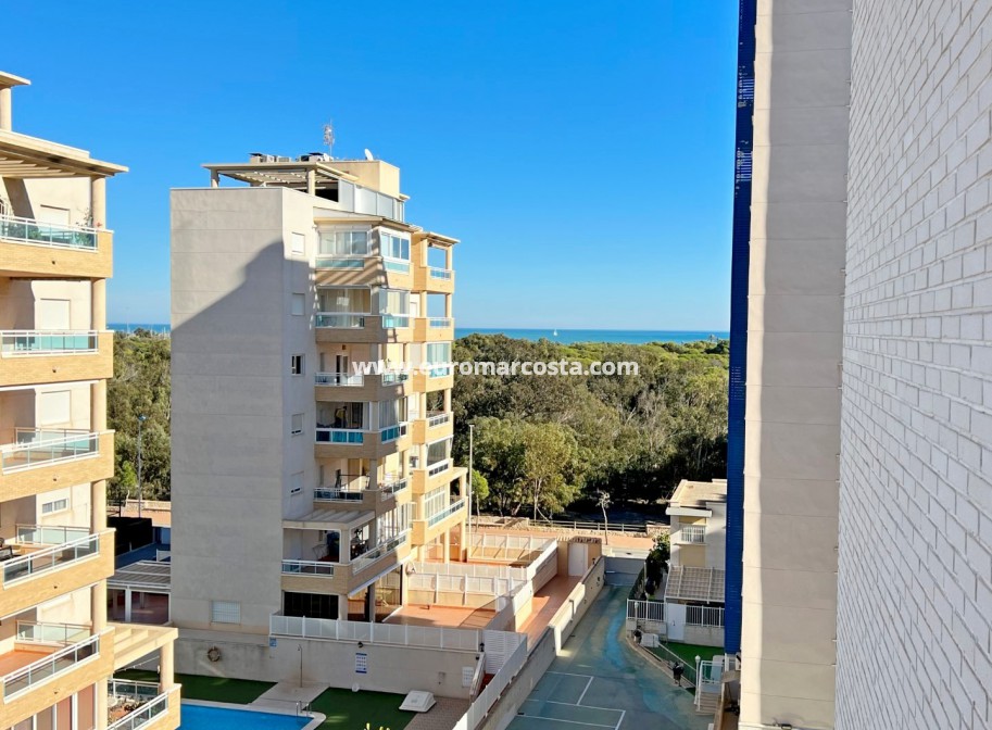 Venta - Apartamento / piso - Guardamar del Segura