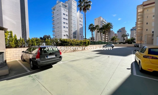 Venta - Apartamento / piso - Guardamar del Segura