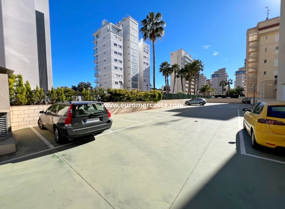 Venta - Apartamento / piso - Guardamar del Segura