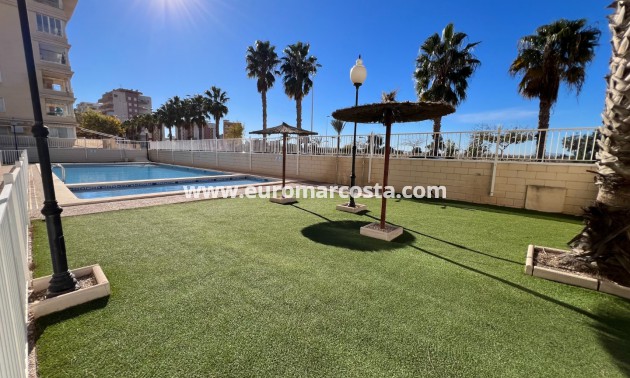 Venta - Apartamento / piso - Guardamar del Segura