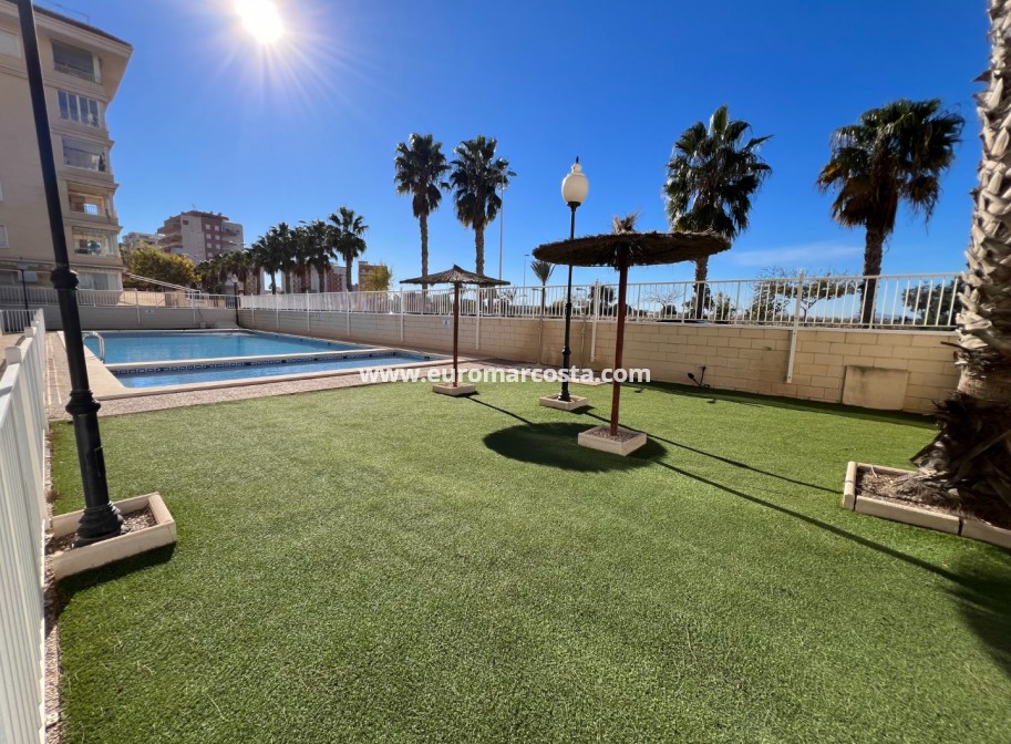 Venta - Apartamento / piso - Guardamar del Segura