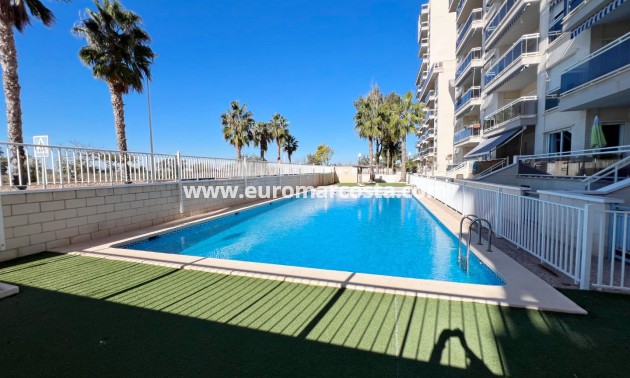 Venta - Apartamento / piso - Guardamar del Segura