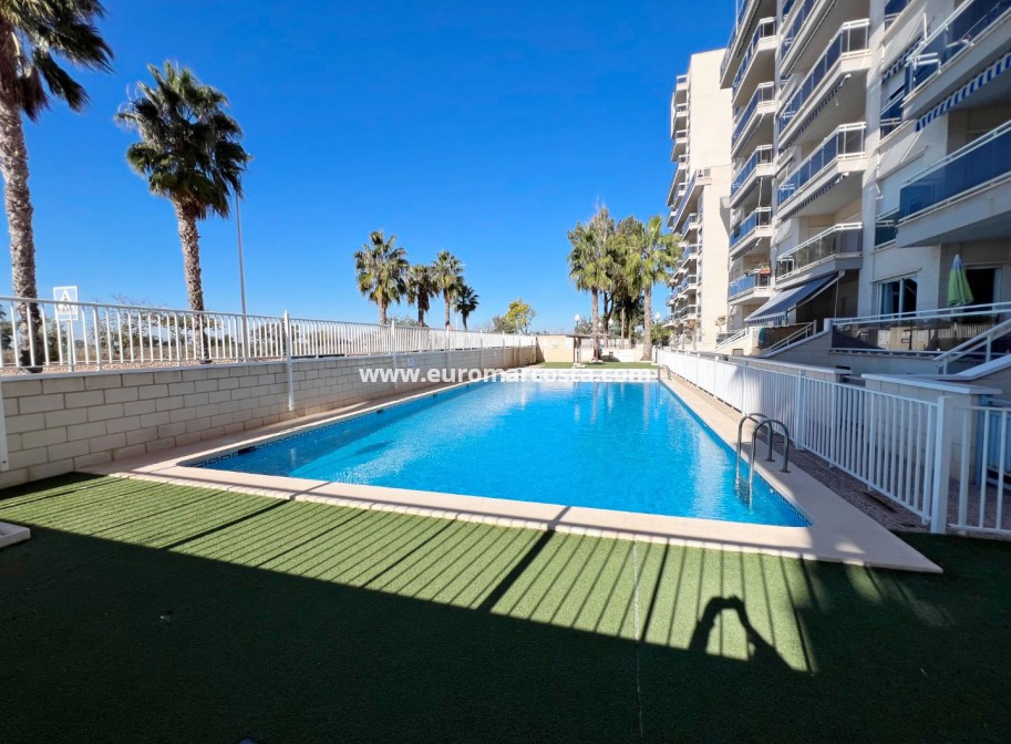 Venta - Apartamento / piso - Guardamar del Segura