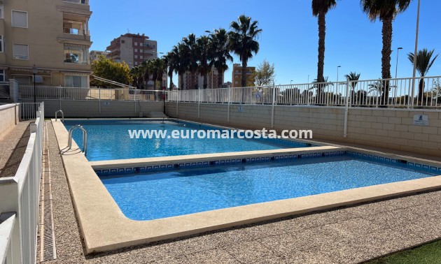 Venta - Apartamento / piso - Guardamar del Segura