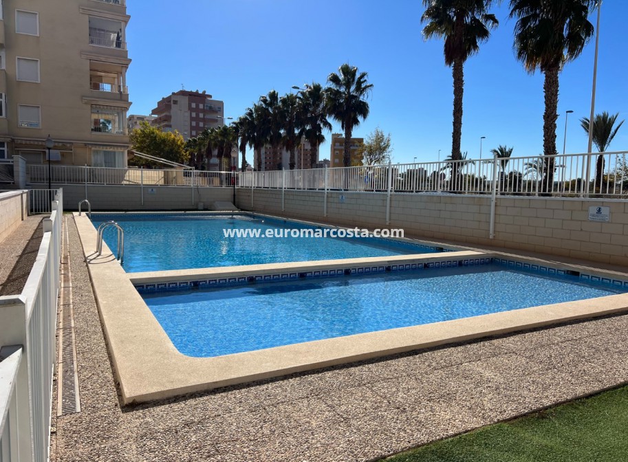Venta - Apartamento / piso - Guardamar del Segura