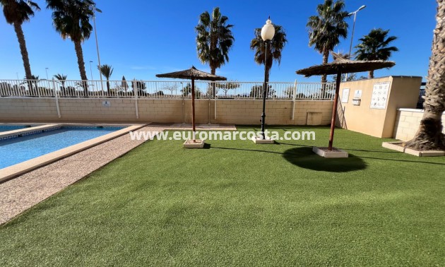 Venta - Apartamento / piso - Guardamar del Segura