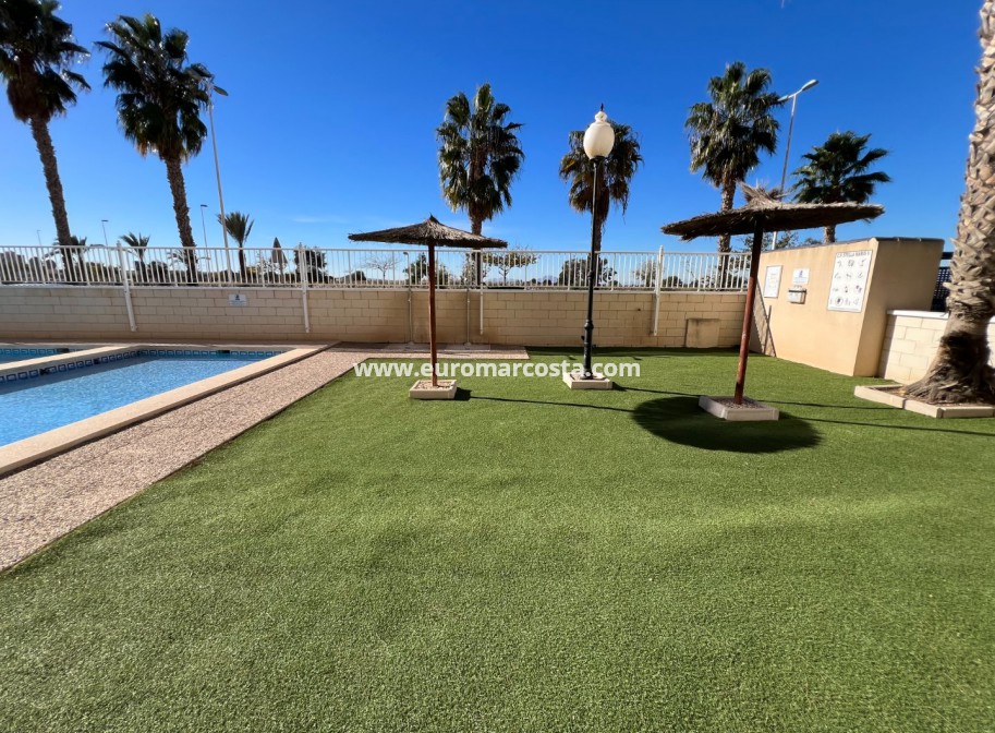 Venta - Apartamento / piso - Guardamar del Segura